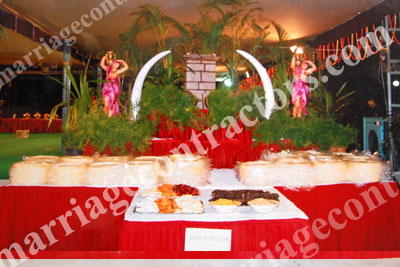vegetarian caterers in hyderabad